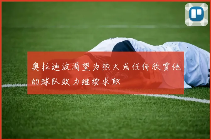 奥拉迪波渴望为热火或任何欣赏他的球队效力继续求职